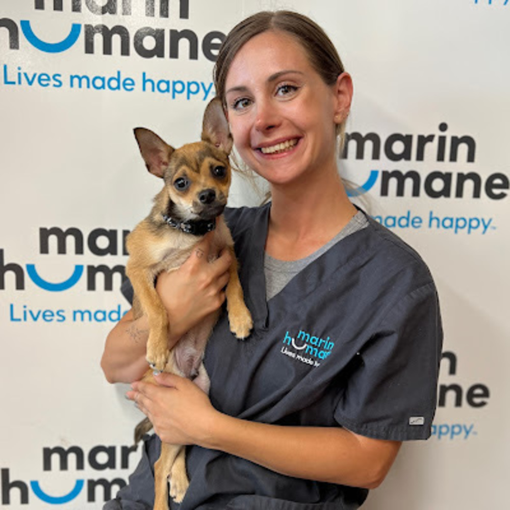 Meet your Posher, Rachel